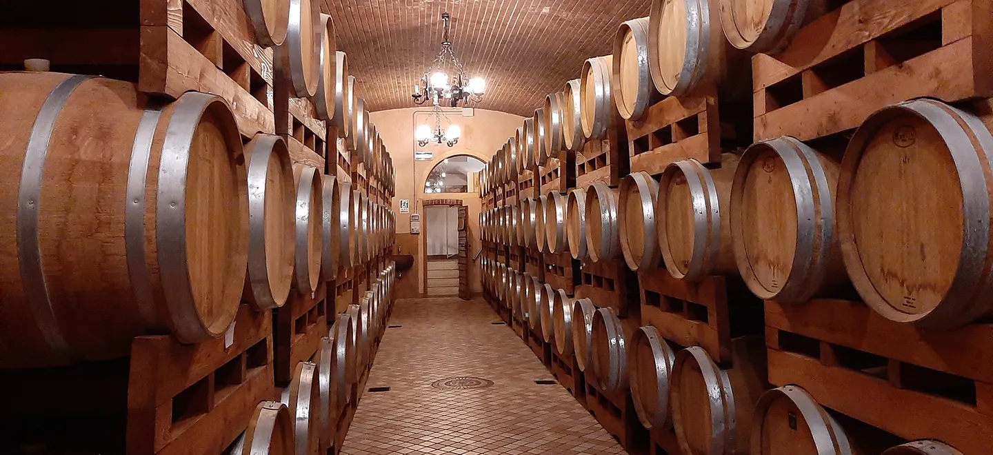 Ancient barrel cellar